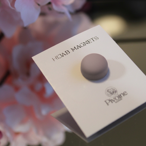 Magnetic Pins